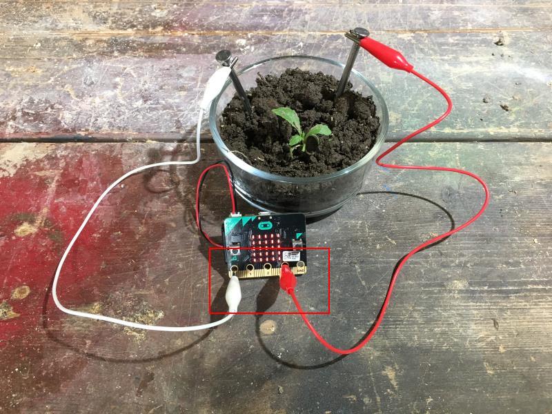 Placa microbit conectada a planta
